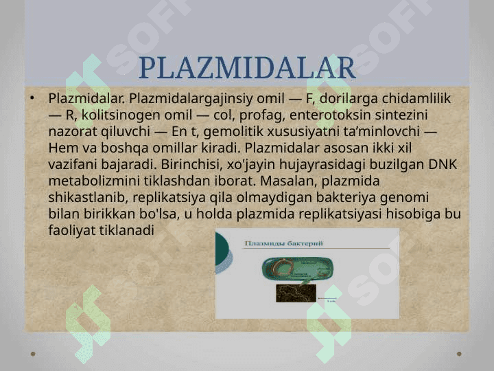 Mikroorganizmlarning o’zgaruvchanligi va irsiyati 8