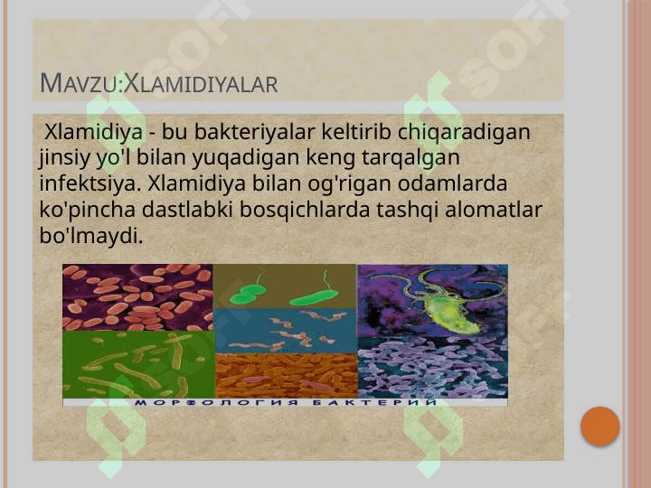 XLAMIDIYALAR TARIFI QORAMOLLARDA XLAMIDIYA KASALLIKLAR QORAMOLLARDA XLAMIDIYA QOZGATUVCHISI 2