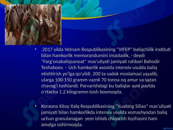 Baliqchilik,  uning iqtisodiy  ahamiyati. 4