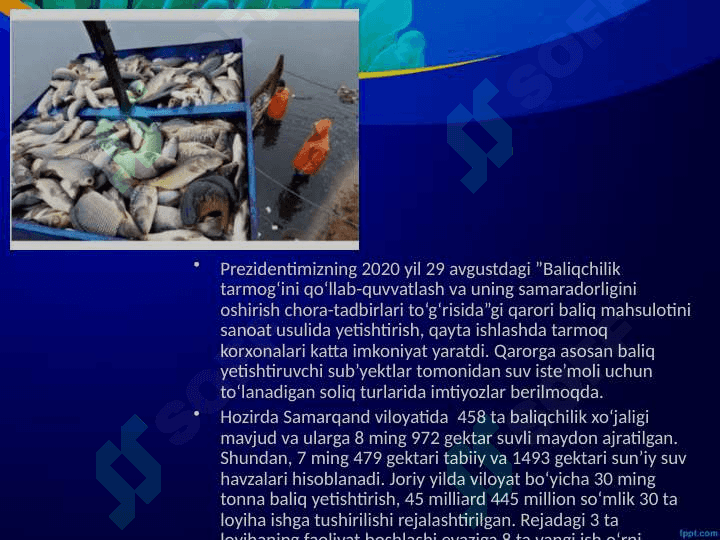 Baliqchilik,  uning iqtisodiy  ahamiyati. 7