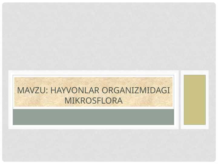 Hayvonlar organizmidagi mikrosflora Hayvonlar organizmidagi mikrosflora