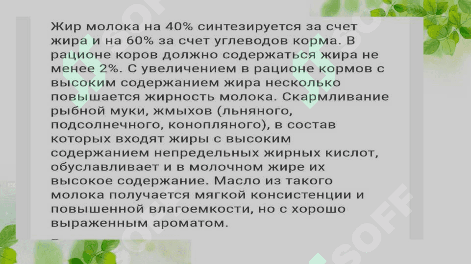 Влияние содержание и кормление животных на количество и качество молокоВлияние содержание и кормление животных на количество и качество молоко 3