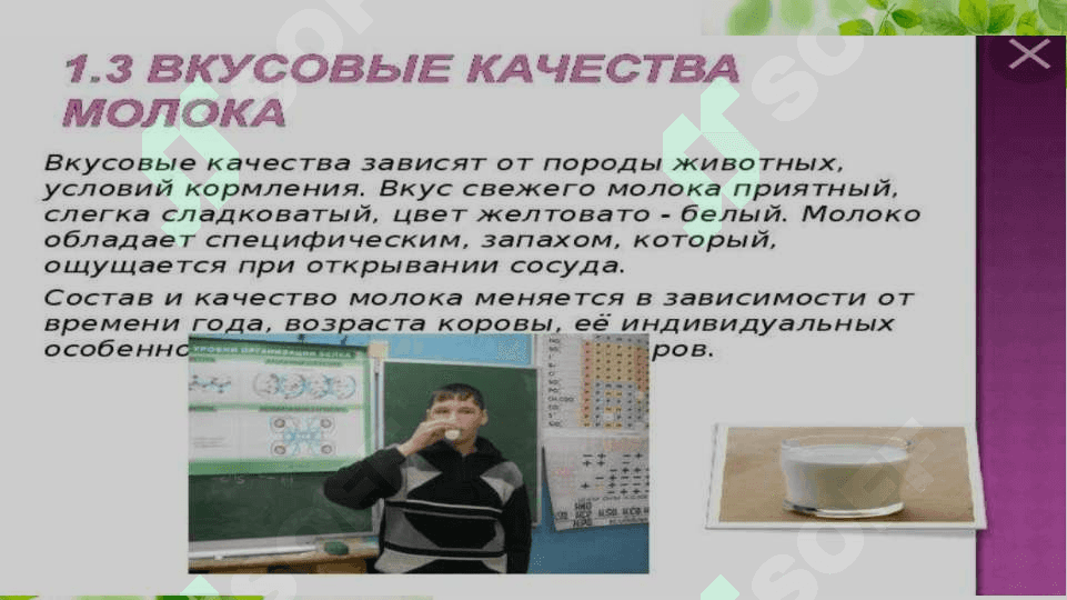 Влияние содержание и кормление животных на количество и качество молокоВлияние содержание и кормление животных на количество и качество молоко 4