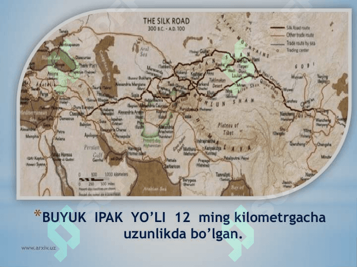 Buyuk ipak yo'li 8