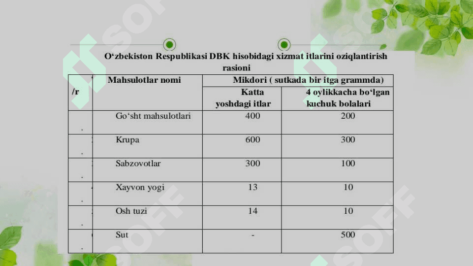 Xizmat itlarini oziqlantirish va saqlash texnologiyalari 4