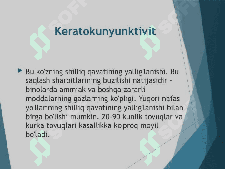Ammiakli shapko’rlik (keratokonyunktivit) 3
