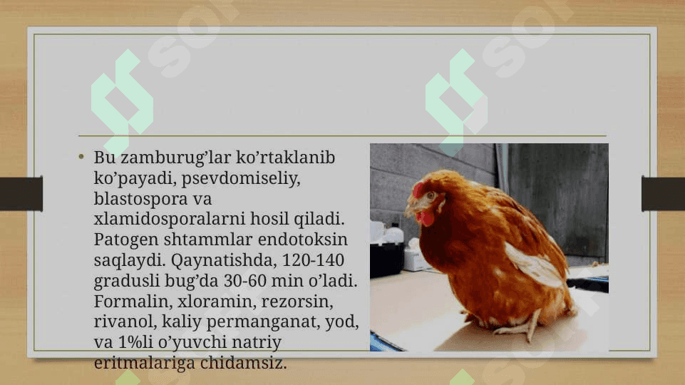 Kandidomikoz (candidamycosis kandidoz, molochnisa, moniliaz, blastomikoz, soormikoz, oodimikoz) – parranda, xayvon va odamlar teri va shilliq pardalarni kasalligidir. 4