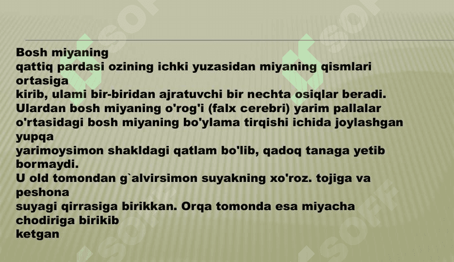 Bosh  miya pardalarining vena bo’shliqlari va sistemalari. likvorodinamika 7