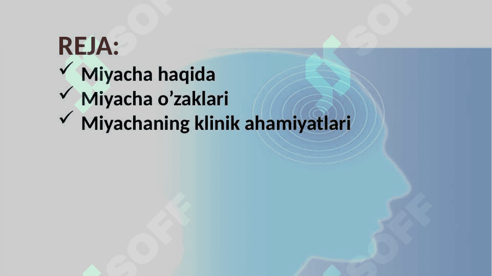 MIYACHA O’ZAKLARI VA ULARNING KLINIK AHAMIYATI 2