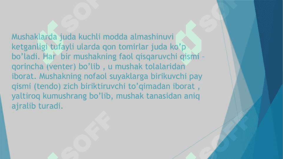 KO’KRAK  MUSHAKLARI . DIAFRAGMA . QORIN MUSHAKLARI 4