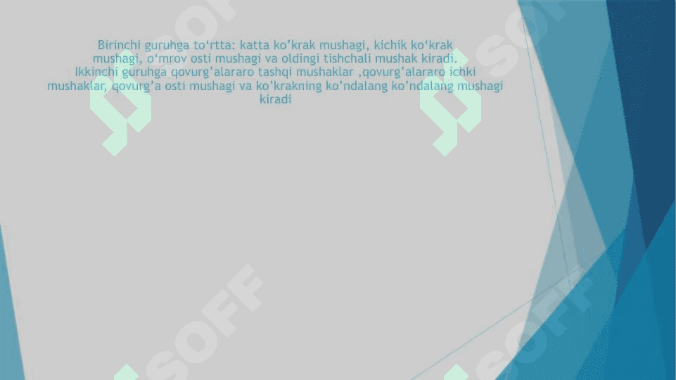KO’KRAK  MUSHAKLARI . DIAFRAGMA . QORIN MUSHAKLARI 7