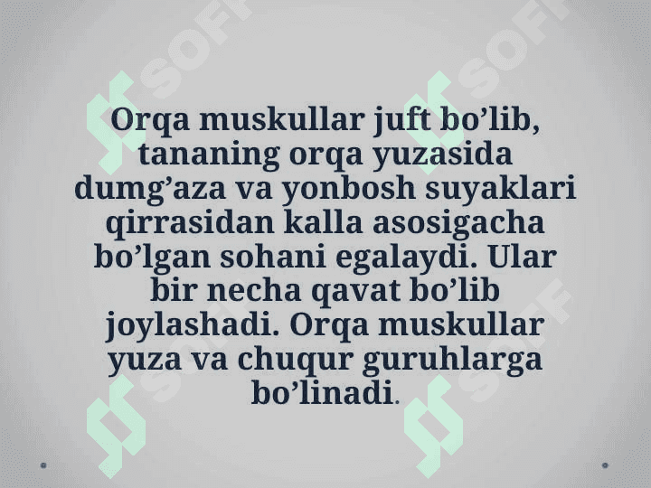 Tananing orqa tomonidagi muskullari 2