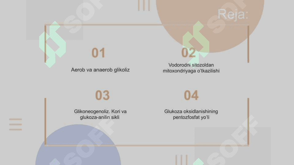 Jigarda glikoliz va glikoneogenezning boshqarilishi 2