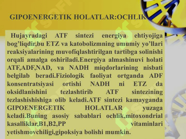 Gipoenergetik holatlar 2