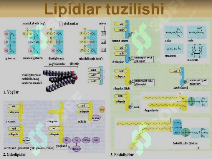 LIPIDLAR ALMASHINUVI BIOKIMYOSI 2