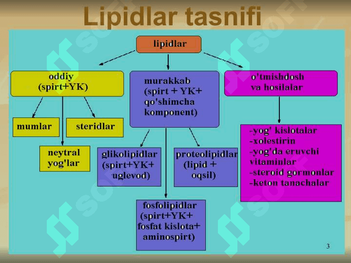 LIPIDLAR ALMASHINUVI BIOKIMYOSI 3