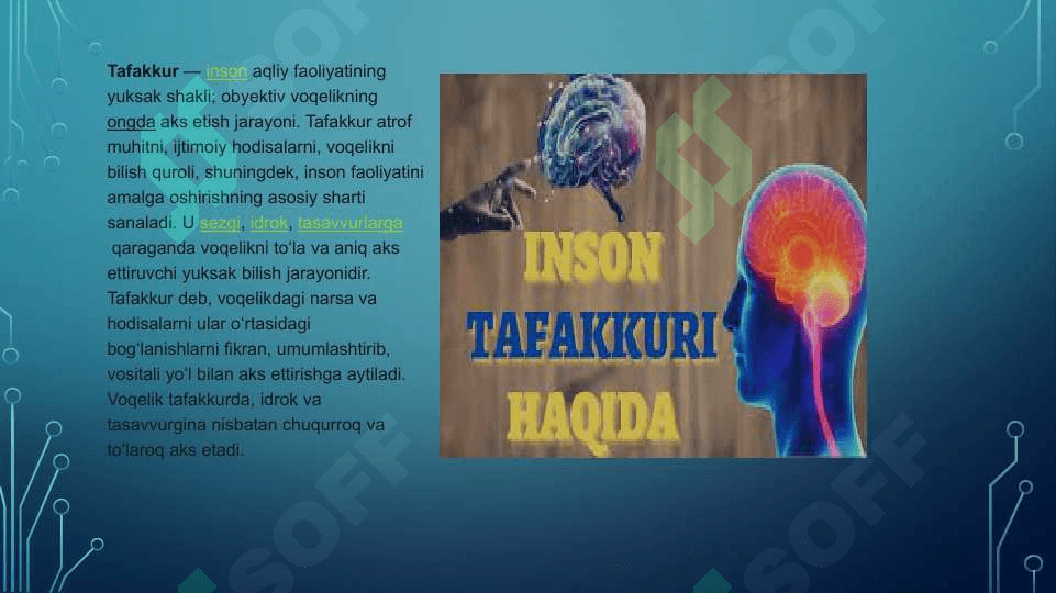 tafakkur Intellekt va kreativlik 2