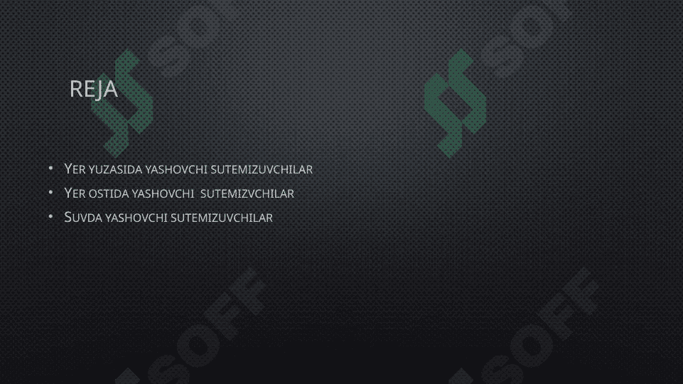 Sutemizuvchilarning ekologiyasi 2