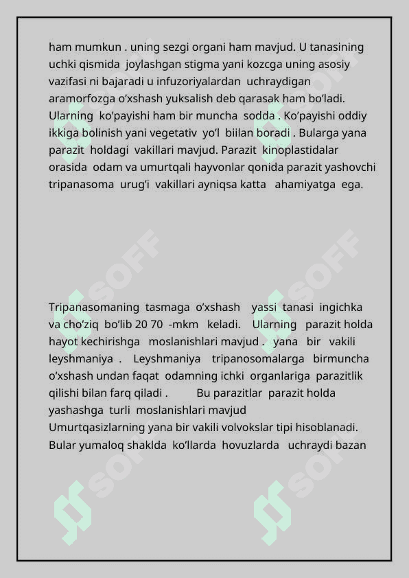 UMURTQASIZ HAYVONLAR AZOLAR TIZIMI EVOLUTSIYASI 6