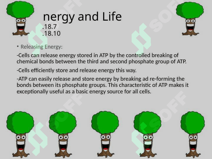 ABOUT PHOTOSYNTHESIS 5