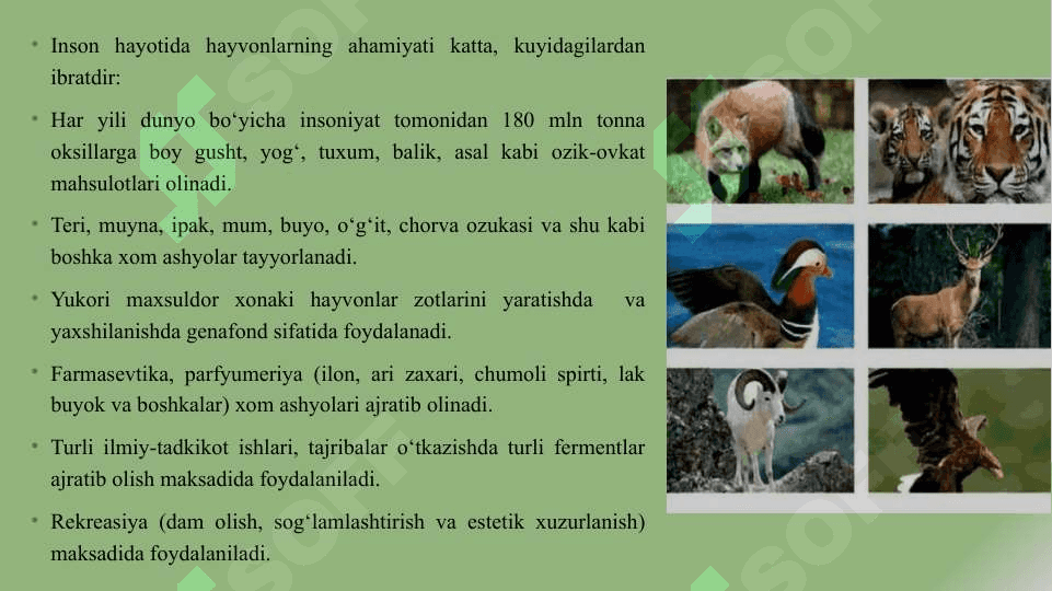 Hayvonot dunyosini muxofaza qilish 5