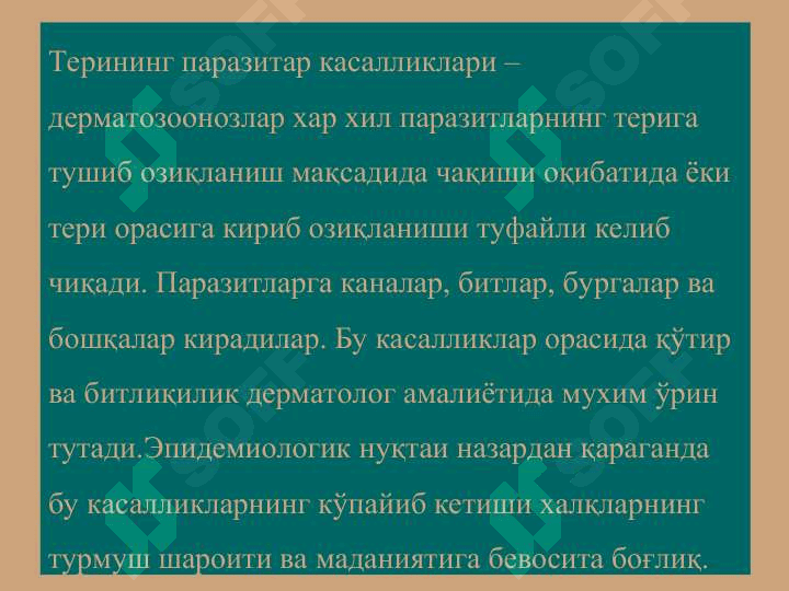 Терининг тузилиши, морфологик элементлари - Terining tuzilishi, morfologik elementlari 3