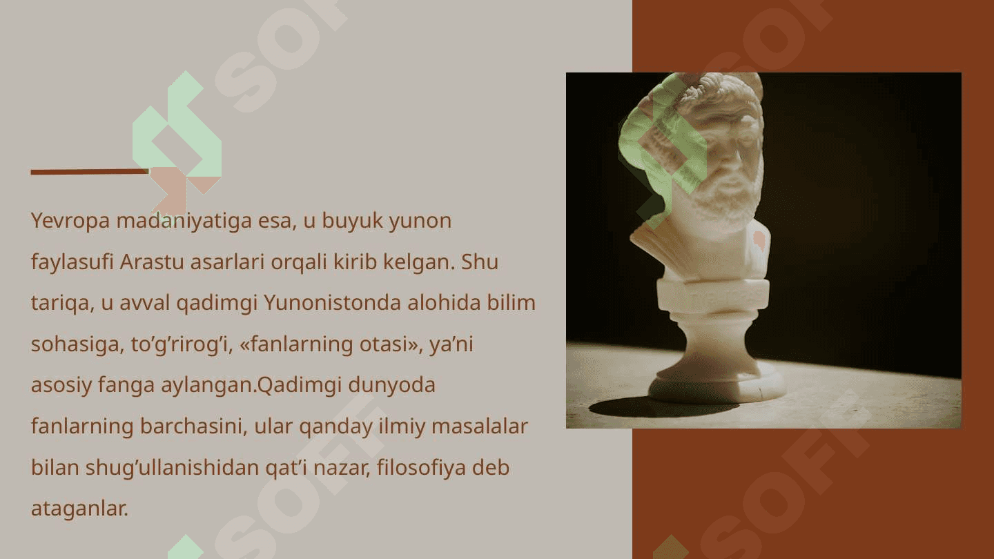 Falsafa turmush tarzi va dunyoni anglash usuli 4