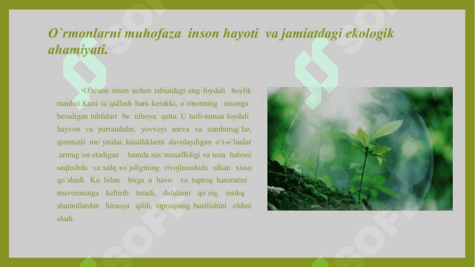 Ormonlarni muhovaza qilishning huquqiy chora tadbrlari 3