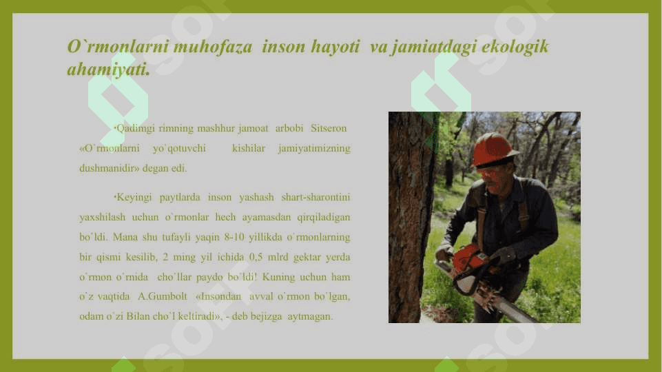 Ormonlarni muhovaza qilishning huquqiy chora tadbrlari 4