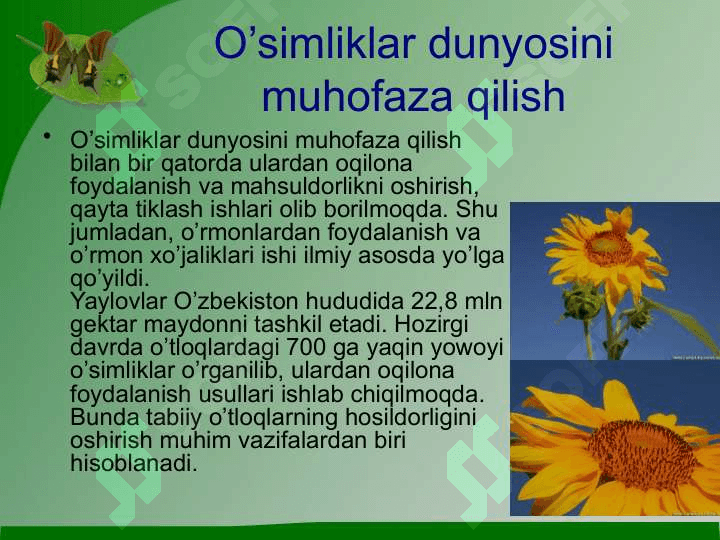 O’simliklar dunyosini muhofaza qilish (2) 4