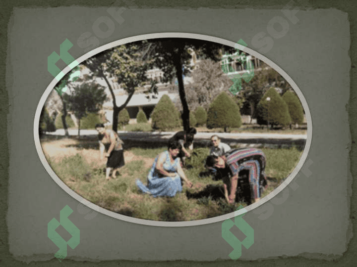 O’zbekistan ta’lim-tarbiya masalalari 4