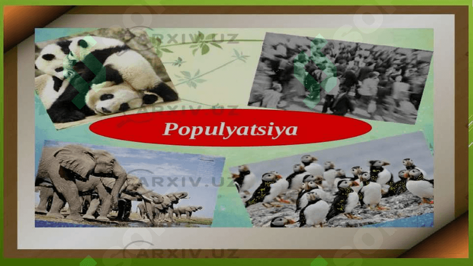 Populyatsiyalar ekologiyasi 3