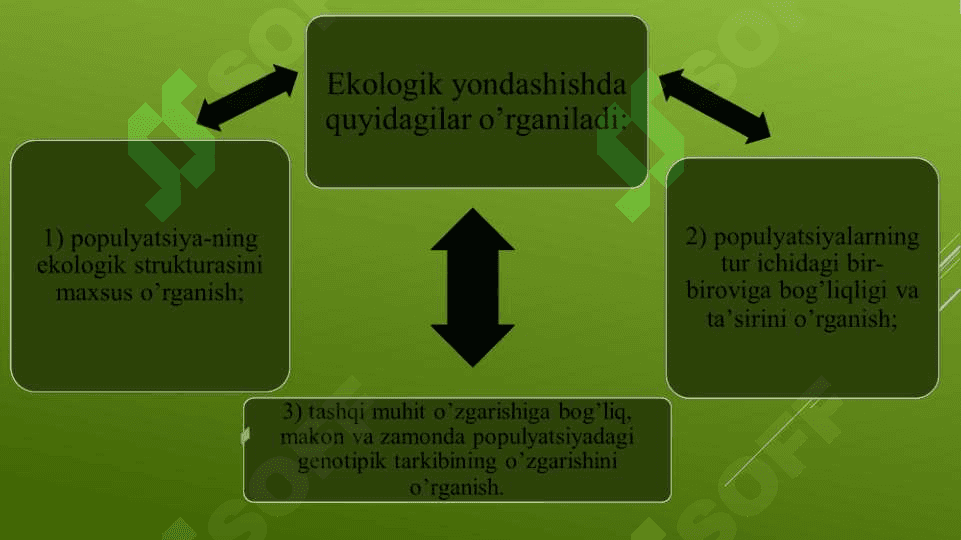 Populyatsiyalar ekologiyasi 4
