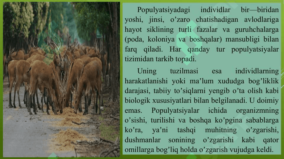 Populyatsiyalar ekologiyasi 7