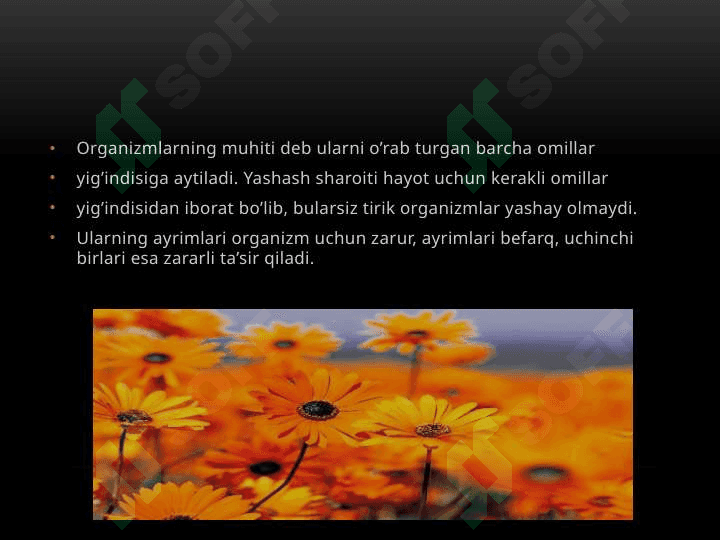 hayot va muhit ekologiyasi 6