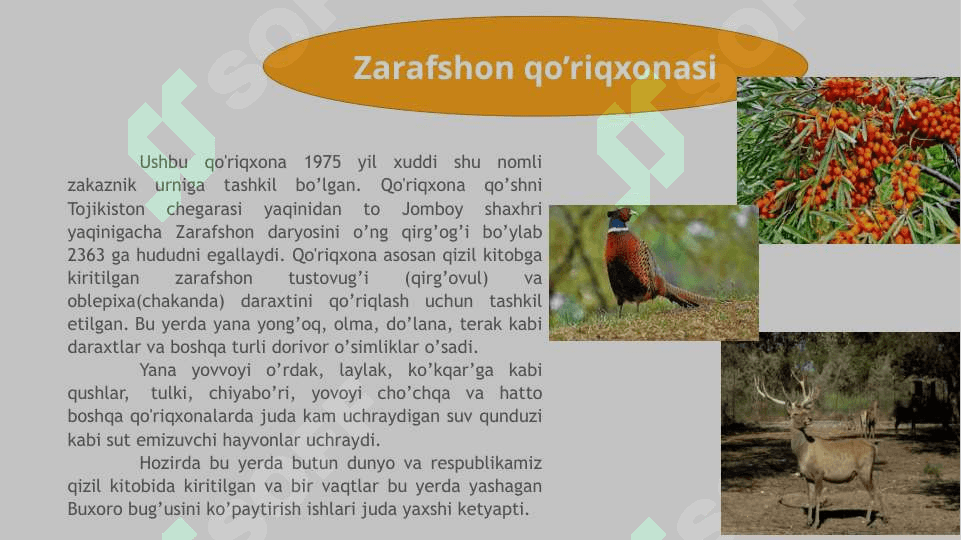 O‘zbekistondagi alohida muhofaza qilinadigan hududlar bilan tanishishO‘zbekistondagi alohida muhofaza qilinadigan hududlar bilan tanishish 7