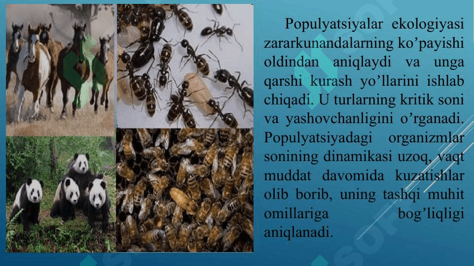 POPULYATSIYALAR EKOLOGIYASI 6