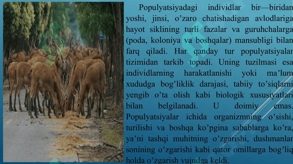 POPULYATSIYALAR EKOLOGIYASI 7