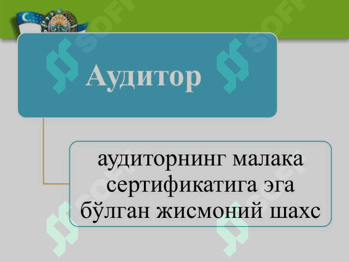 Аудиторлик касбига қўйиладиган малакавий талаблар 2