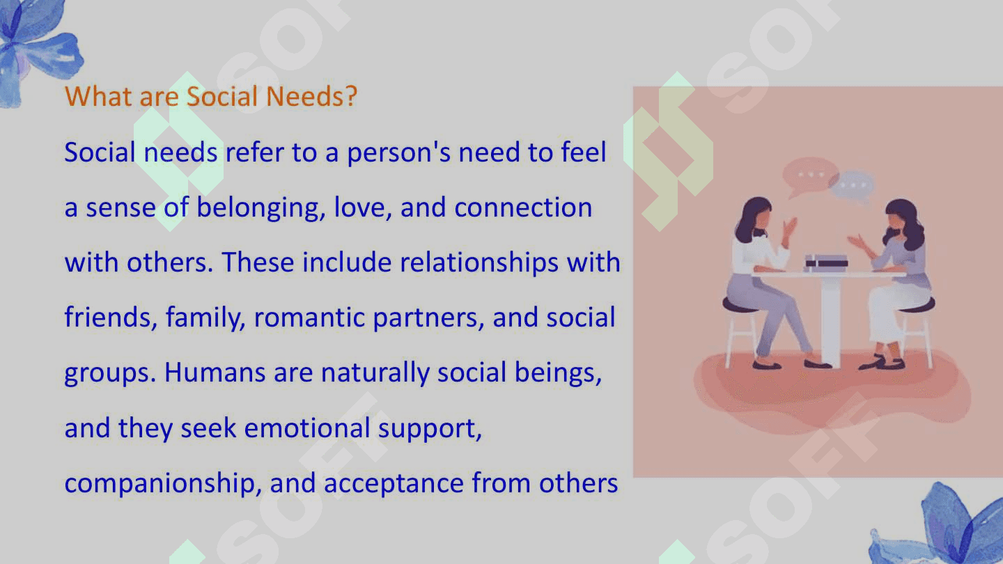 Social needs and conversation 2