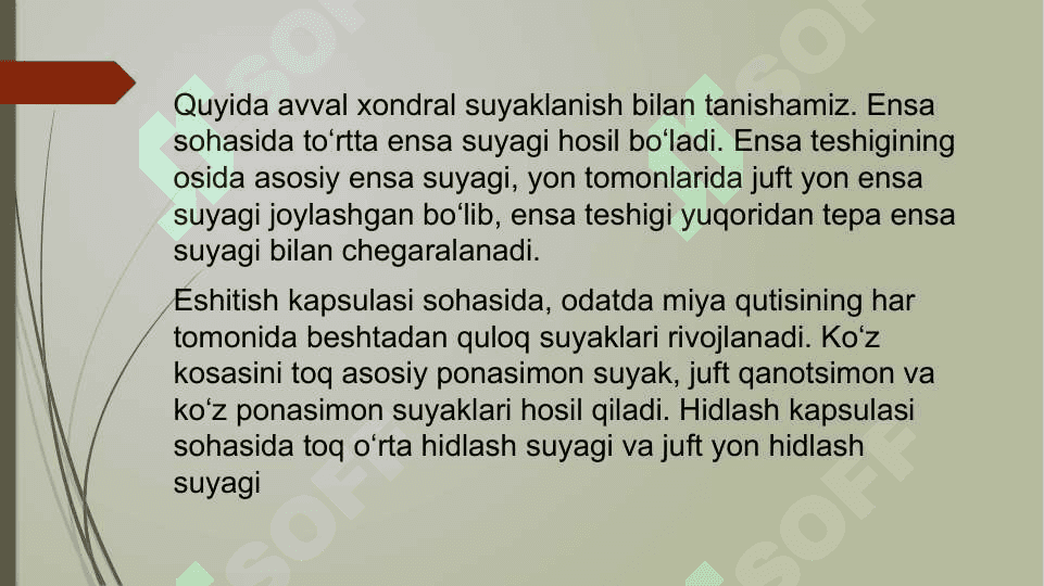 Suyakli baliqlar sinfi vakillarinng ichli tuzulishi 4