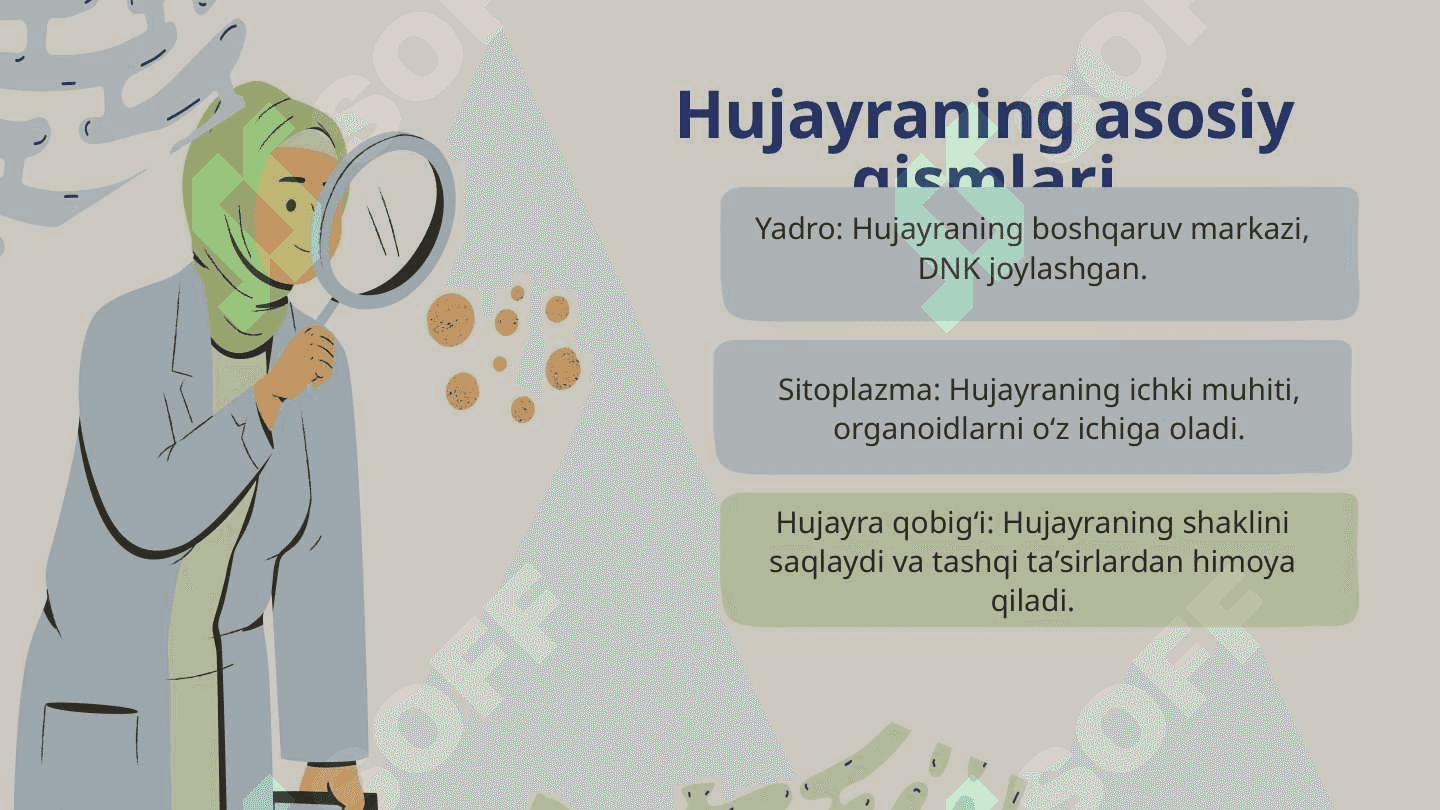 Hujayra 4