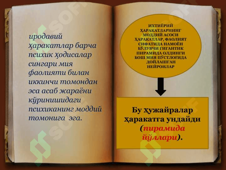 ИРОДА ҲАҚИДА ТУШУНЧА 6