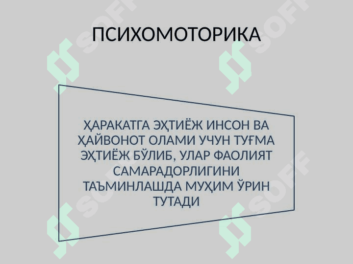 ИНСОН ПСИХОМОТОРИКАСИ ХАРАКТЕРИСТИКАСИНИ  АНИҚЛАШ 6