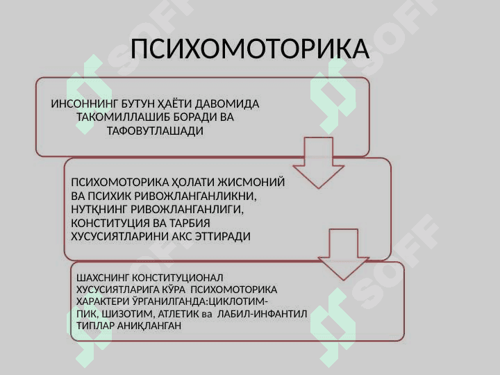 ИНСОН ПСИХОМОТОРИКАСИ ХАРАКТЕРИСТИКАСИНИ  АНИҚЛАШ 8