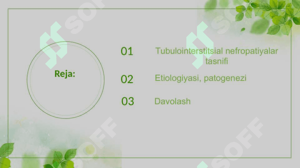 Tubulointerstitsial nefropatiyalar 2