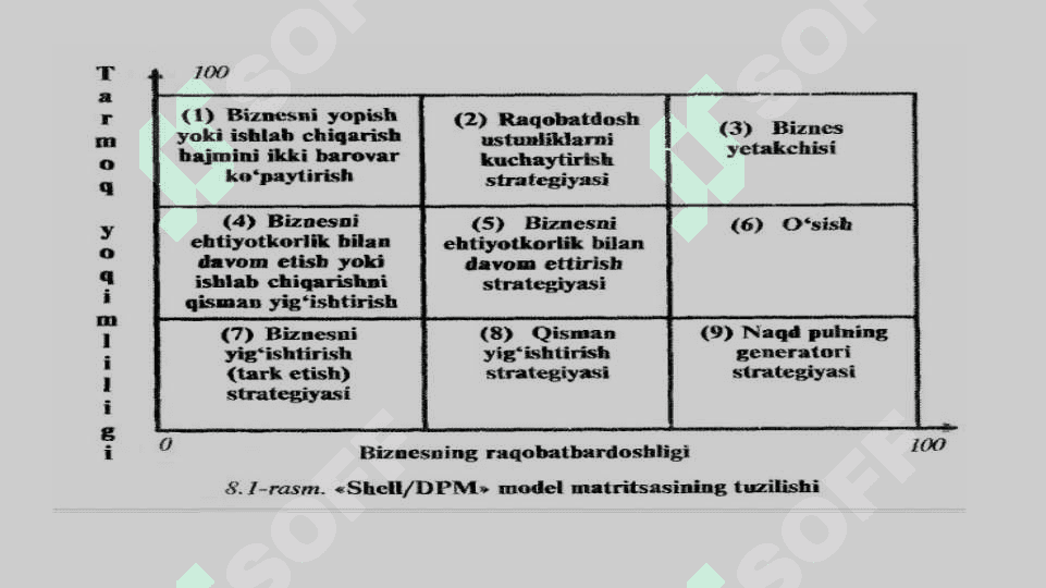Shell/DPM modeli 5