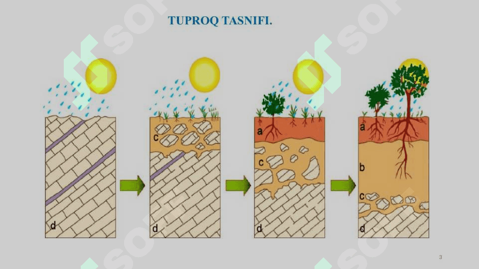 TUPROQ TASNIFI. 3