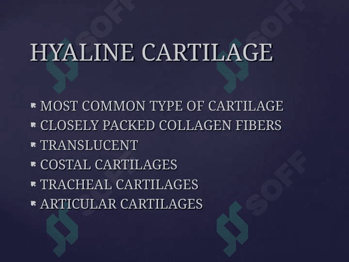 Cartilage and bone. Hyaline, elastic cartilago and fibrocartilago 7