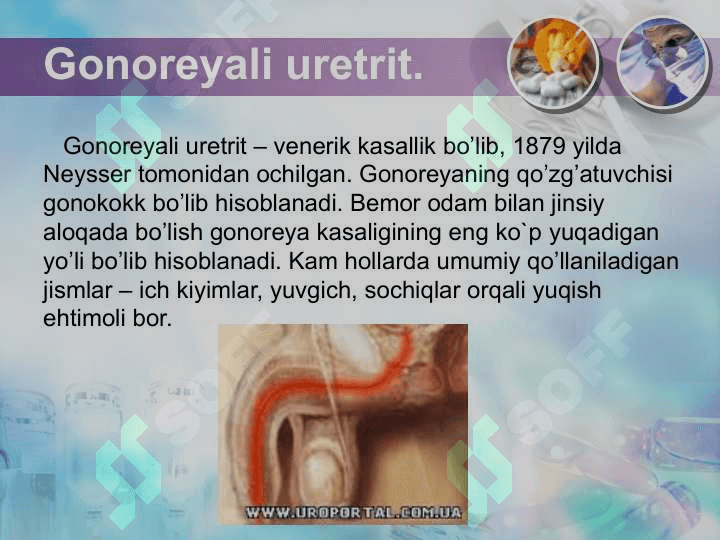 Uretrit , orxit , orxoepididemit 7